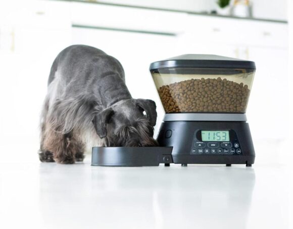 Dispensador De Alimentos Para Mascotas Automático